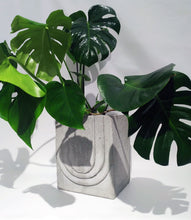 Carica l'immagine nel visualizzatore di Gallery, Vaso La Rotonda