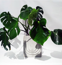 Carica l'immagine nel visualizzatore di Gallery, Vaso La Rotonda